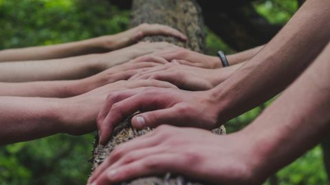 Hands joined together on a tree branch, symbolising connection and community